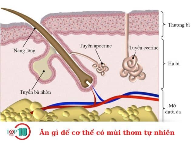 Ăn gì để cơ thể có mùi thơm tự nhiên