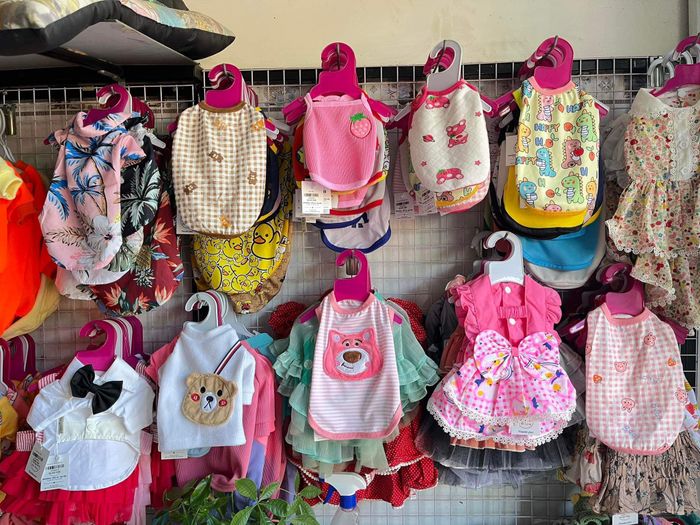 Hình ảnh Tiin Tiin Pet Shop 2