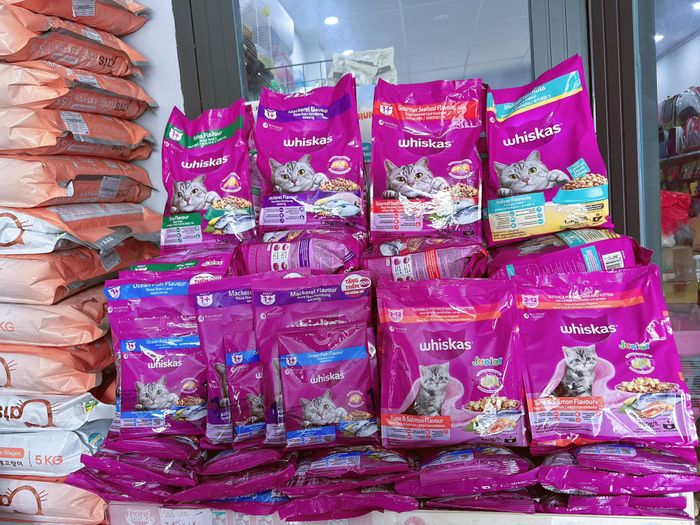 Hình ảnh Xì Tin Pet Shop tại Mỹ Tho 2