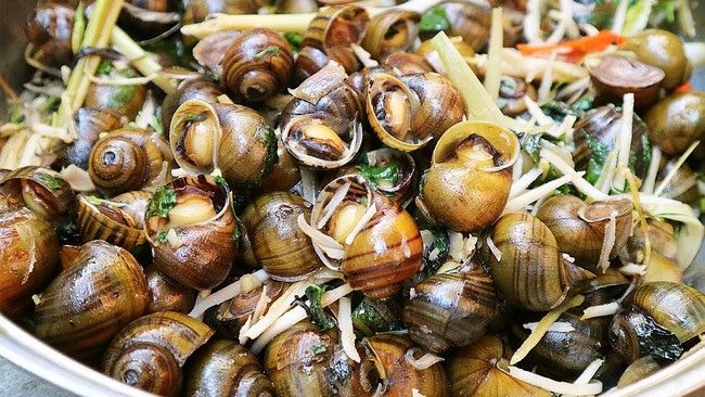 Ốc xào Nghệ An