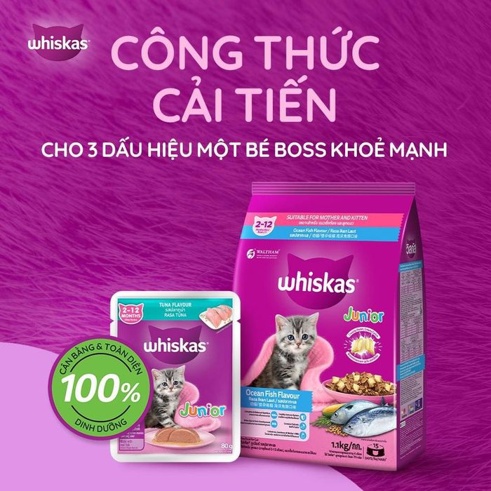 Hình ảnh 2 của KITTY Petshop