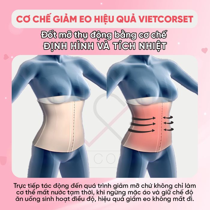 Gen nịt bụng latex slim 101 từ VIỆT CORSET - Hình ảnh 1