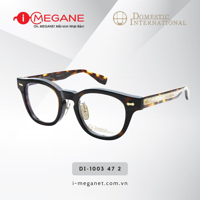 Kính Nhật Bản i-MEGANE hình 1