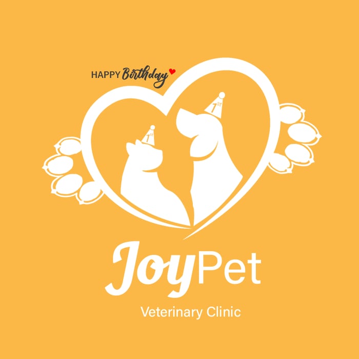 Hình ảnh 1 của Joy Pet_ Phòng Khám Thú Y Quy Nhơn