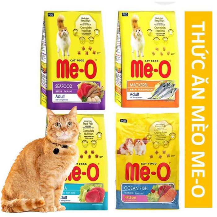 Hình ảnh Meo-o 2