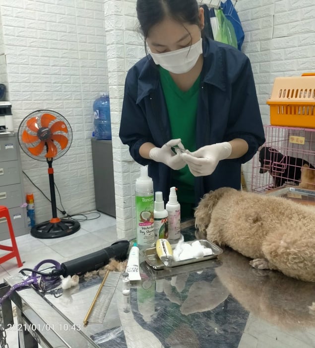 Hình ảnh Phòng Khám Thú Y Pet Care Bến Tre 1