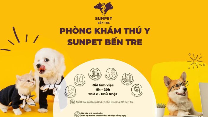 Hình ảnh Thú Y SunPet Bến Tre 2