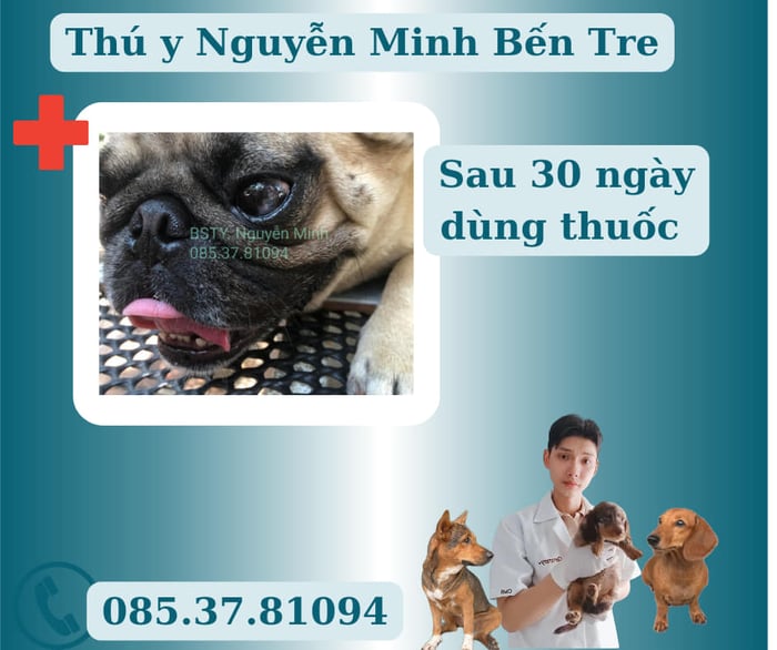 Hình ảnh Thú Y Nguyễn Minh Bến Tre 1