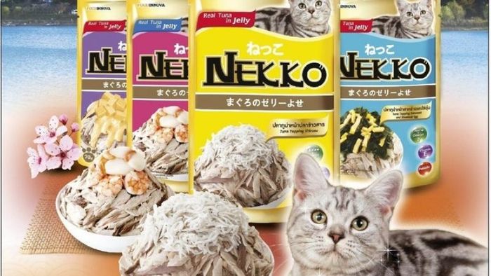 Hình ảnh Nekko 1