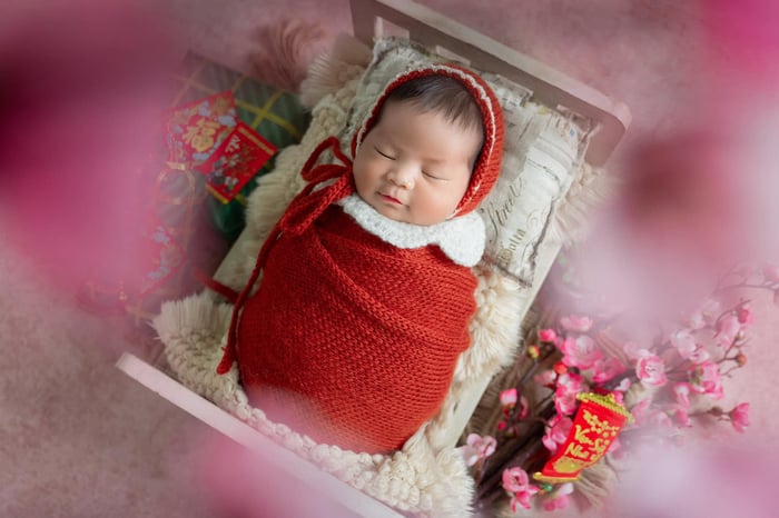 Baby Long Khánh, hình 2