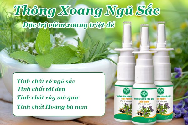 Hình ảnh Thông Xoang Ngũ Sắc Chân Nguyên 1