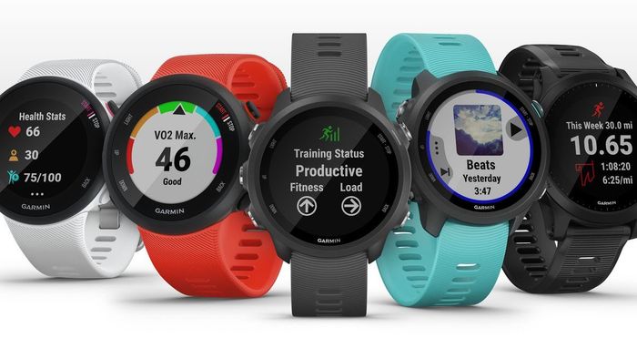 Hình ảnh đồng hồ Garmin 1