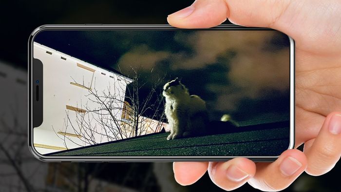 Chế độ Chụp Ban Đêm Night Mode trên iPhone