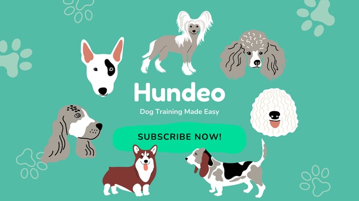 Hundeo: Huấn luyện Chó & Chó Con - Hình ảnh 1