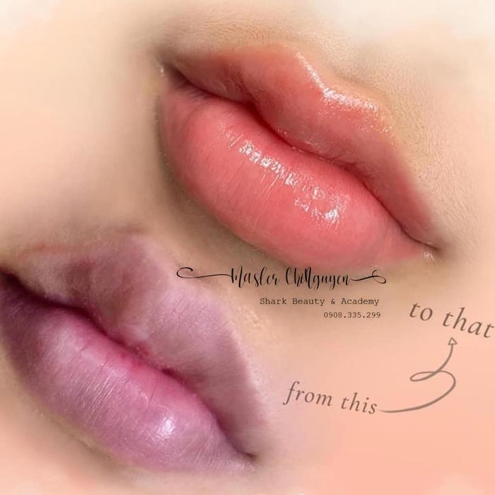 Hình ảnh Shark Beauty & Academy 2
