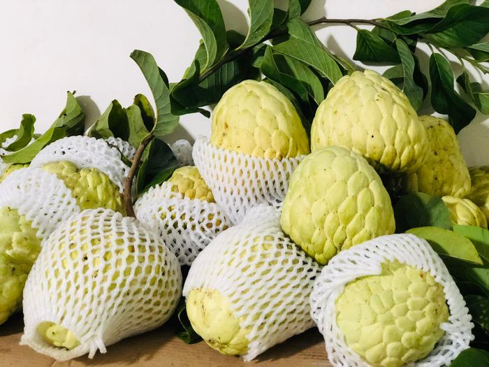 Hình ảnh Vựa trái cây Tâm 2