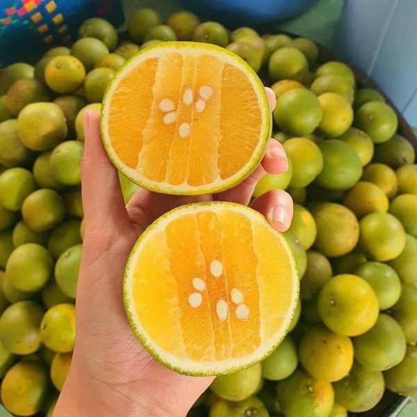 Hình ảnh Ngọc Châu Fruit 2