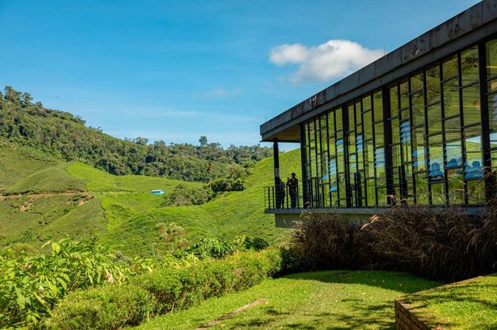 Trung Tâm Trà BOH là một đồn điền trà nằm ở Cameron Highlands.