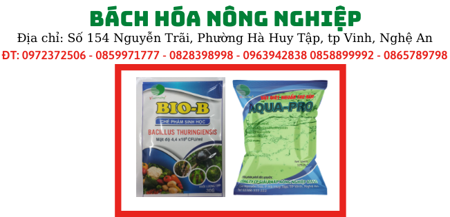 Bách hóa nông sản ATESO - Ảnh 1