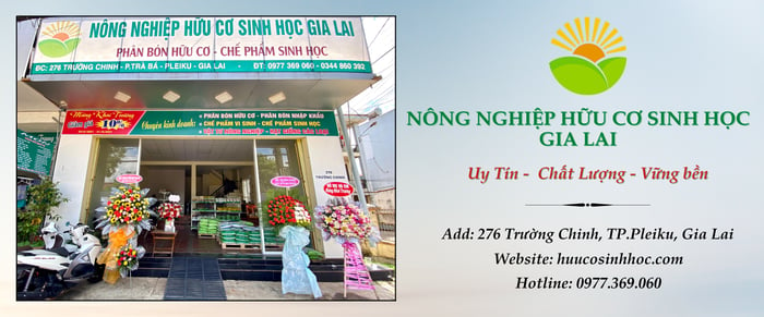 Nông nghiệp Hữu cơ Sinh học Gia Lai - Hình ảnh 1