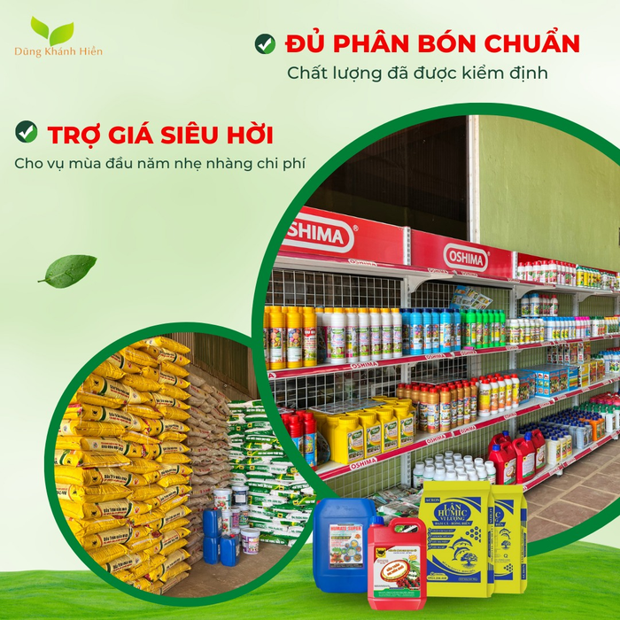 Hệ thống VTNN Dũng Khánh Hiền - Hình ảnh 1