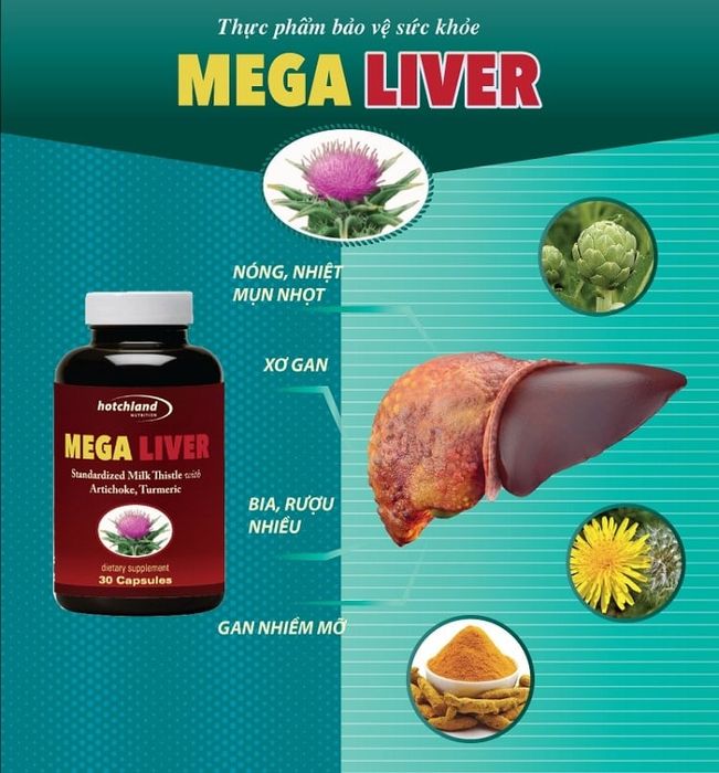 Viên bổ gan Mega Liver