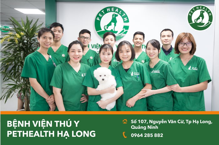 Hình ảnh 1 của Bệnh Viện Thú Y PetHealth Hạ Long