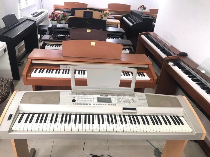 Hình ảnh 2 của Piano D-Music