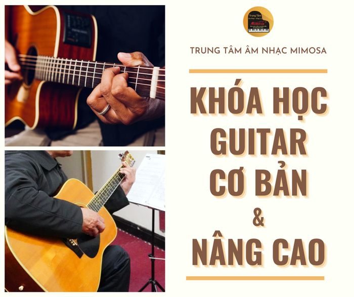 Hình ảnh Trung Tâm Âm Nhạc Mimosa 1