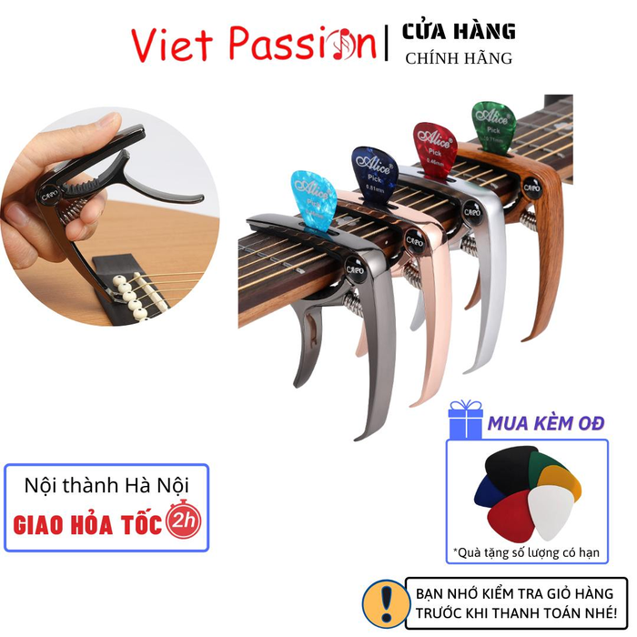 Hình ảnh Guitar Passion - Viet Passion 2