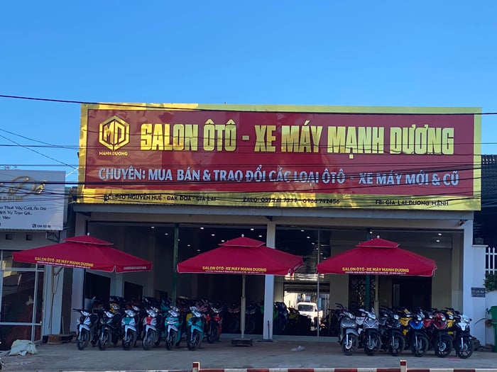 Ảnh xe máy Mạnh Dương 2