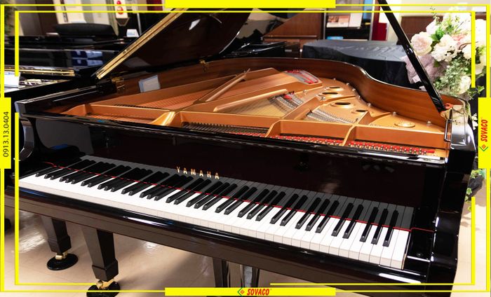 Hình ảnh 3 của Sovaco Piano