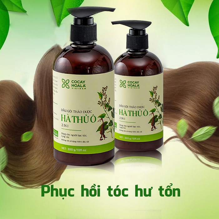 Dầu gội thảo dược hà thủ ô 2in1 giảm rụng tóc và chống bạc tóc Cocayhoala ảnh 2