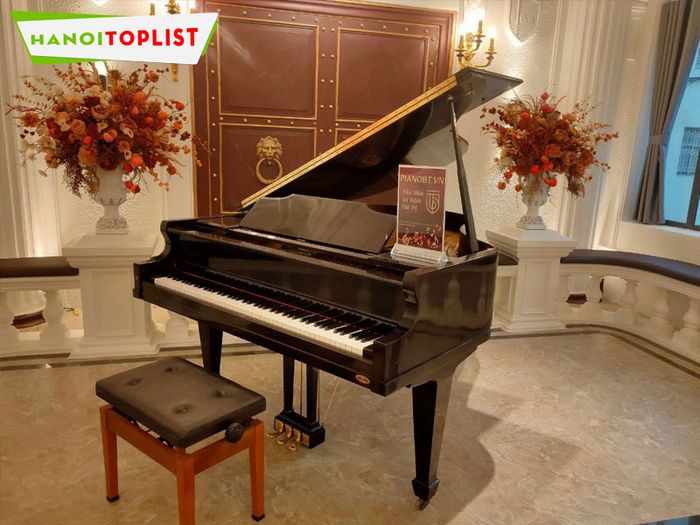 Hình ảnh 2 của Piano BT