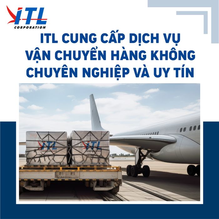 Ảnh Công ty Cổ phần In Do Trans Logistics 2