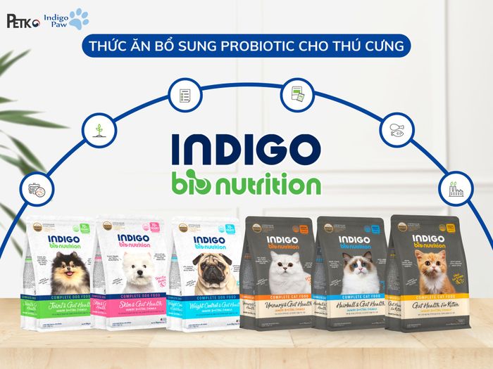 Indigo Bio Nutrition hình 1