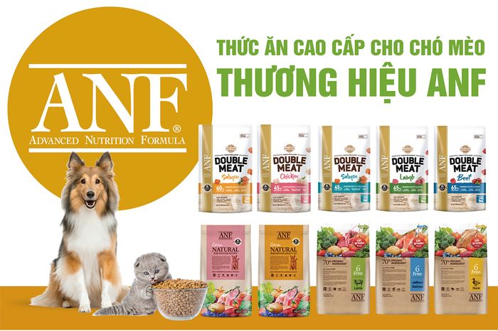 Hình ảnh thức ăn ANF