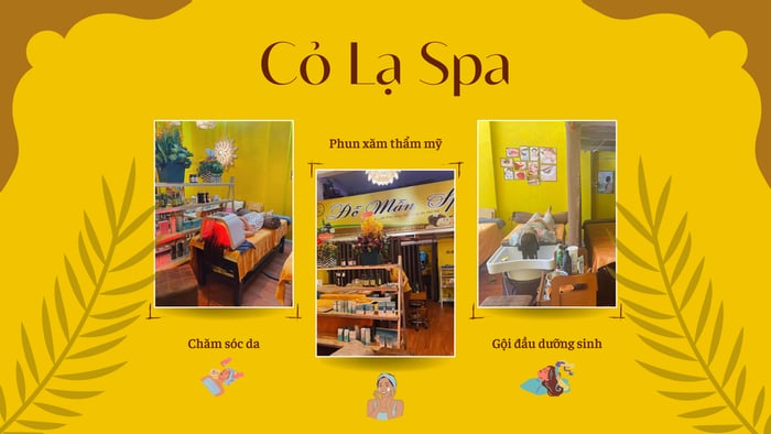 Hình ảnh Cỏ Lạ Spa 2