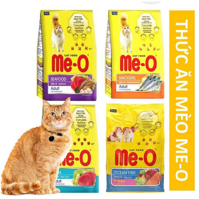 Ảnh Meo-o 2