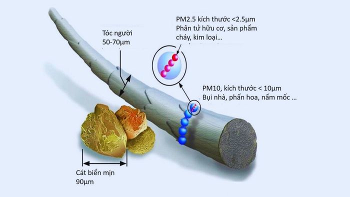 Những loại bụi mịn phổ biến