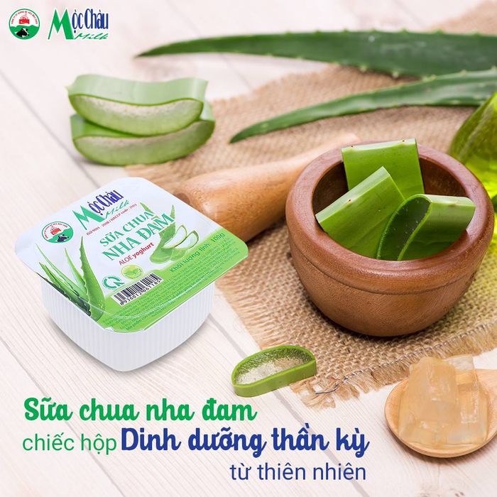 Hình ảnh sữa chua nha đam Mộc Châu 2