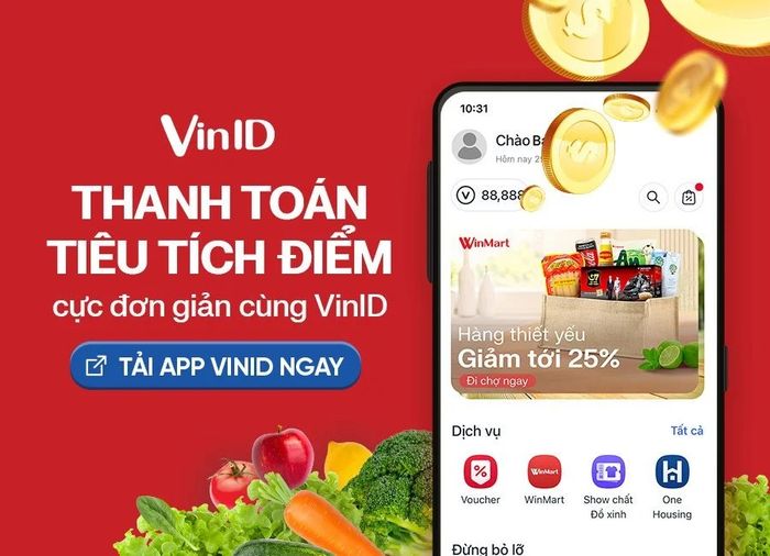 Hình ảnh VinID 1