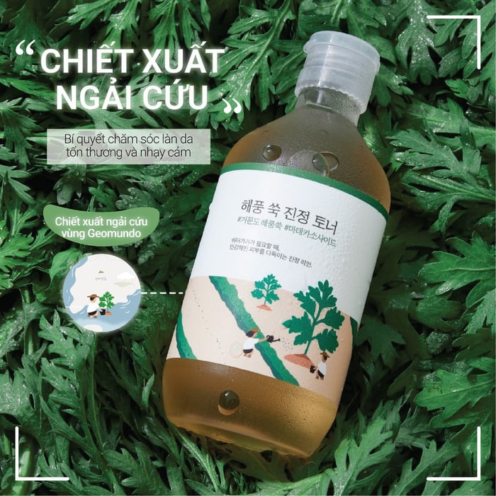 Hình ảnh Tinh Chất Chiết Xuất Ngải Cứu Round Lab Mugwort Calming Serum - Ảnh 1