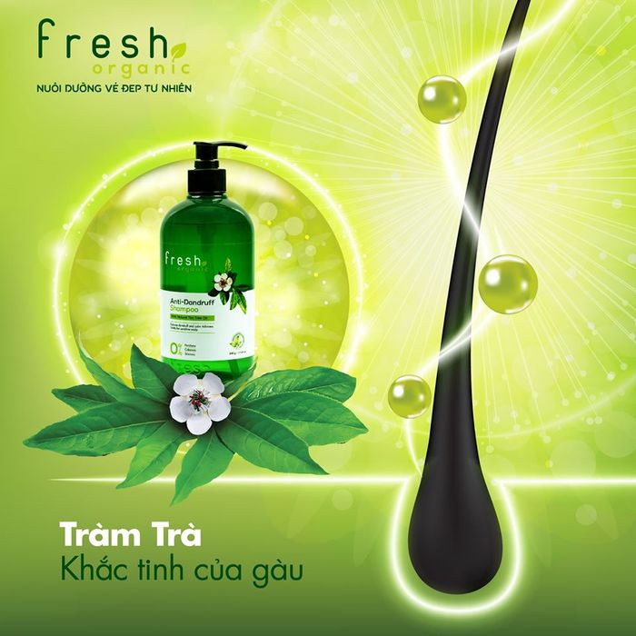 Ảnh 1 của Dầu Gội Trị Gàu Tea Tree Anti Dandruff Shampoo Organic Fresh