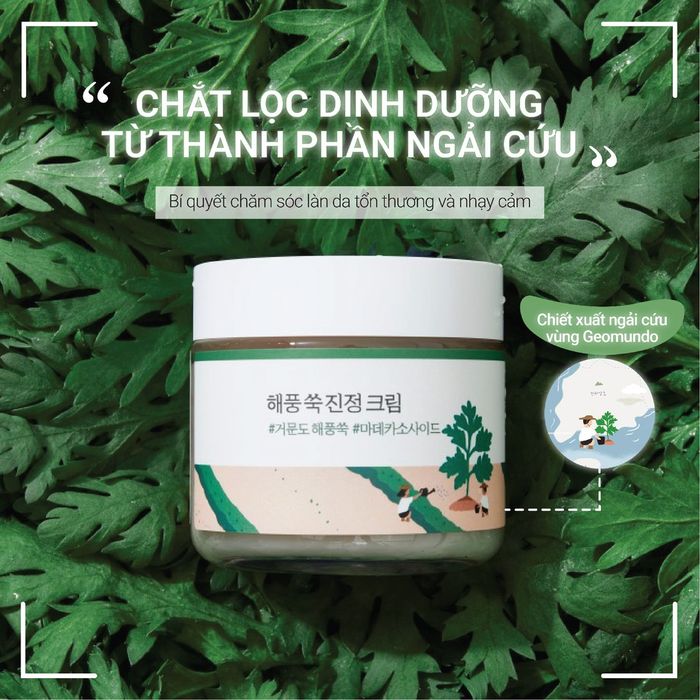 Hình ảnh 2 của Kem Dưỡng Ẩm, Làm Dịu Da Chiết Xuất Ngải Cứu ROUNDLAB Mugwort Calming Cream