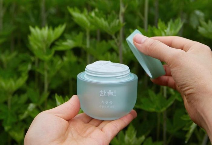 Hình ảnh 2 của Kem Dưỡng Da Ngải Cứu Hanyul Pure Artemisia Watery Calming Cream