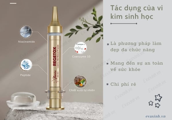 Hình ảnh sản phẩm Vi kim sinh học Meso Raphitox Idenel