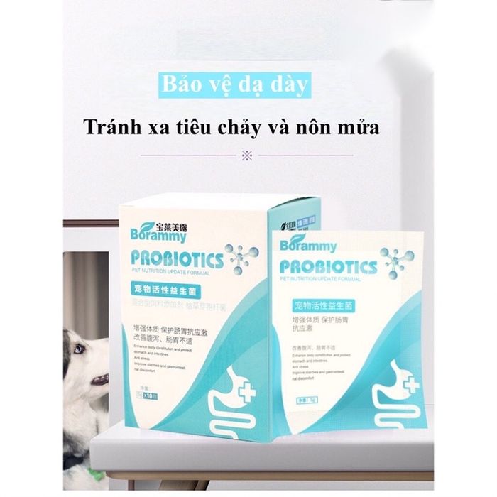 Men vi sinh Borammy Probiotics cho chó và mèo - Hình 2