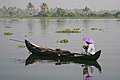 Canoe ở Kerala, Ấn Độ.