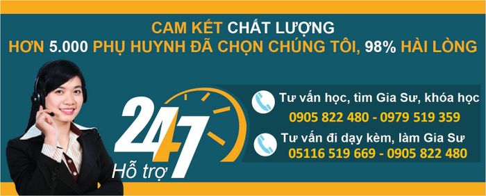 Hình ảnh Trung tâm Gia Sư Trí Việt Đà Nẵng